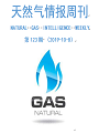 【天然气情报周刊】123期： 《海湾局势缓和与油气产量充足导致国际油气价格大跌》